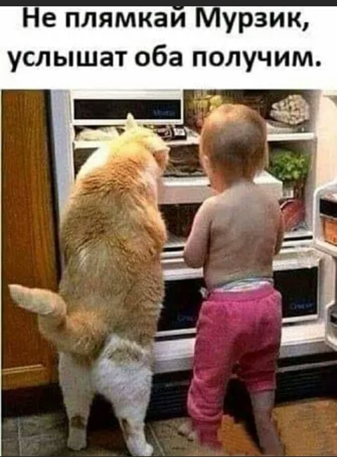 Не плямкаи Мурзик услышат оба получим