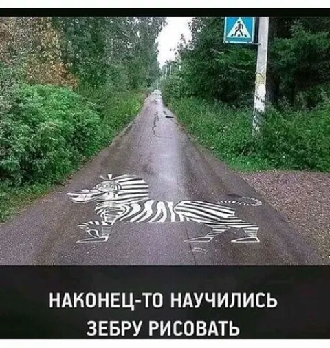 НАКОНЕЦТО НАУЧИЛИСЬ ЗЕБРУ РИСОВАТЬ