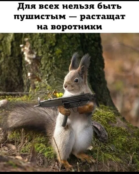для всех нельзя быть пушистым рас тащат на воротники
