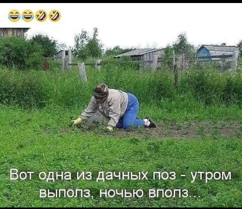 ВОТ Одна дачных поз утром выполз ночью впопз