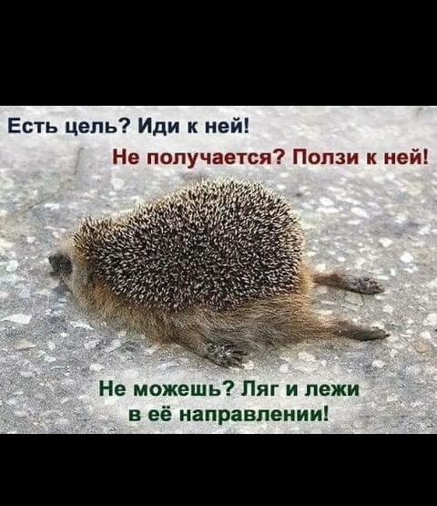 Есть цепь Иди к ней Не получается Попзи к ней Не можешь Ляг и пежи в её направлении