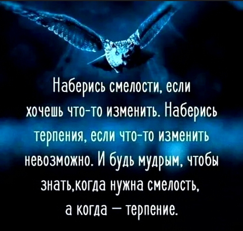 Наберись смелости если хочешь что то изменить Наберись терпенияеитйоттоиа итъ невозможно И будь мудр чтобы знатькогла нужна смелость а когда терпение
