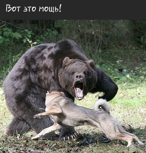 Вот это мощь