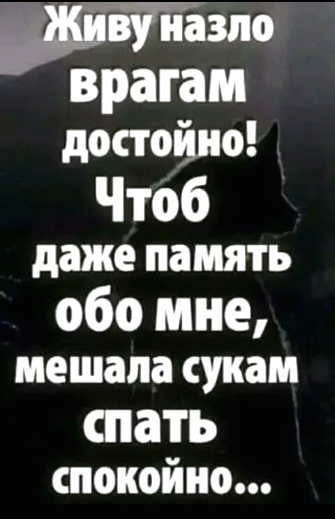 зт врагам достойно Чтоб даже память обо мне мешала СУКЗМ спать спокойно