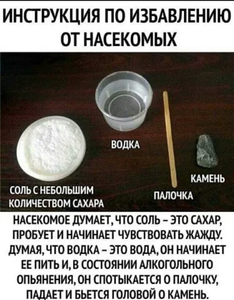 ИНСТРУКЦИЯ ПО ИЗБАВЛЕНИЮ ОТ НАСЕКОМЫХ КАМЕНЬ СОЛЬ С НЕБОЛЬШИМ ПАЛОЧКА КОЛИЧЕСТВОМ САХАРА НАСЕКОМОЕ дУМАЕТ ЧТО СОЛЬ ЭТО САХАР ПРОБУЕТ И НАЧИНАЕТ ЧУВСГВОВАТЬ ЖАЖЦУ дУМАЯ ЧТО ВОДКА ЭТО ВОДА0Н НАЧИНАЕТ ЕЕ ПИТЬ И В СОСГОЯНИИ АЛКОГОЛЬНОГО 0ПЬЯНЕНИЯ ОН СПОТЫКАЕТСЯ О ПАЛОЧКУ ЕТИ БЬЕТСЯ ГОЛОВОЙ О КАМЕНЬ