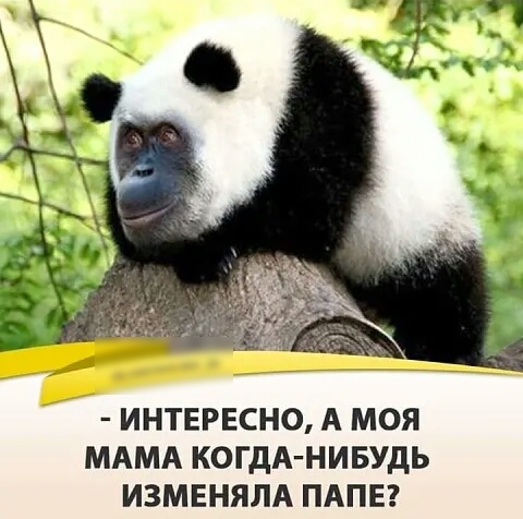 ИНТЕРЕСНО А МОЯ МАМА КОГДА НИБУДЬ ИЗМЕНЯЛА ПАПЕ