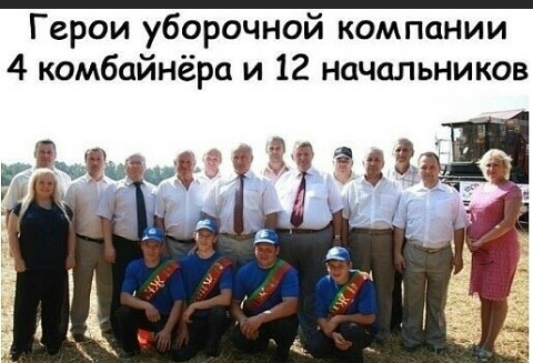 Герои уборочной компании 4 комбайнёра и 12 начальников