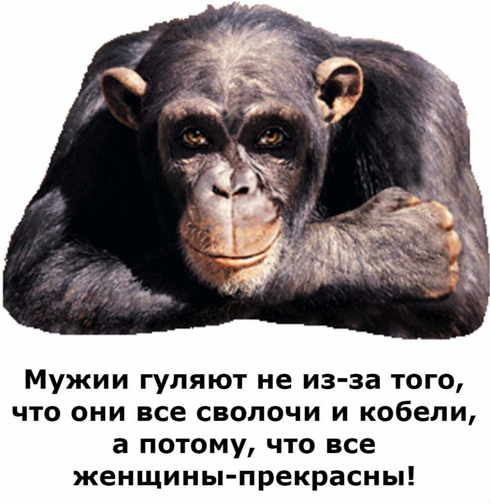 Мужии гуляют не из за того что они все сволочи и кобели а потому что все женщины прекрасны