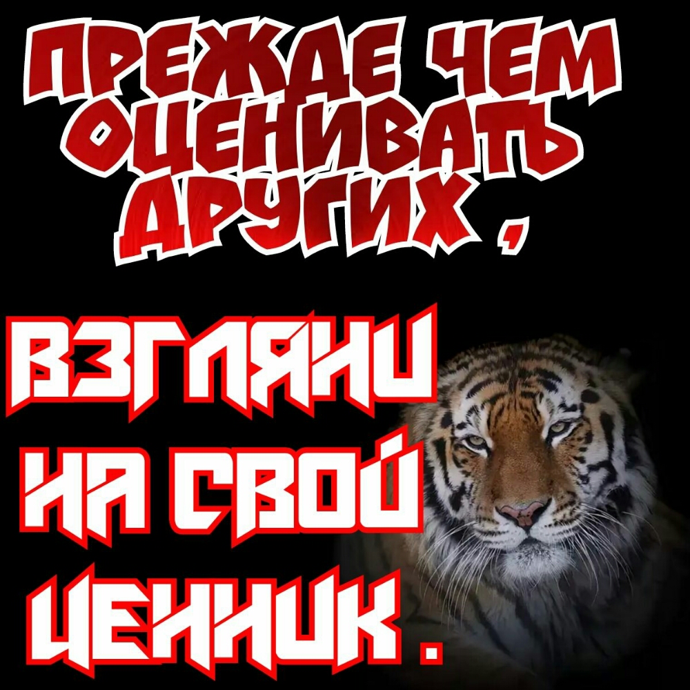 Батя 4 НН Евпаё