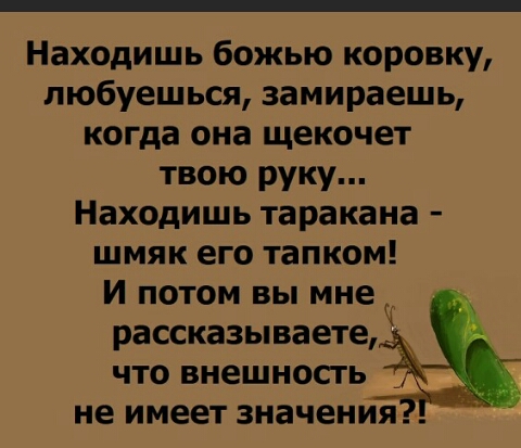 Находишь божью коровку любуешься замираешь когда она щекочет твою руку Находишь таракана шмяк его тапком И потом вы мне рассказываете что внешносгь не имеет значения