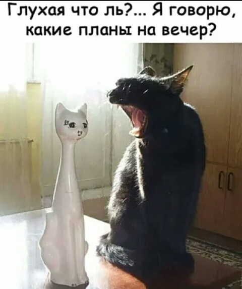 Глухая что ль Я говорю какие планы на вечер мч