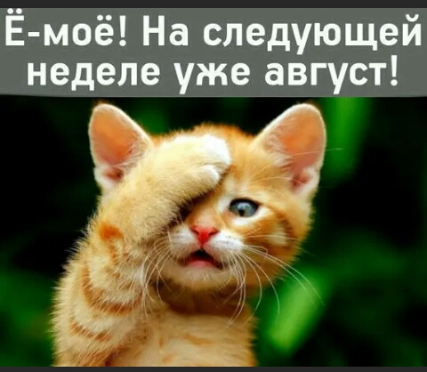 Ё моё На следующей неделе уже август