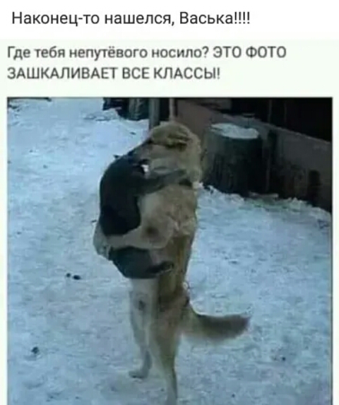 Наконец то нашелся Васька Где тебя иепутёвого носипо ЭТО ФОТО ЗАШКАПИВАЕТ ВСЕ КПАССЫ