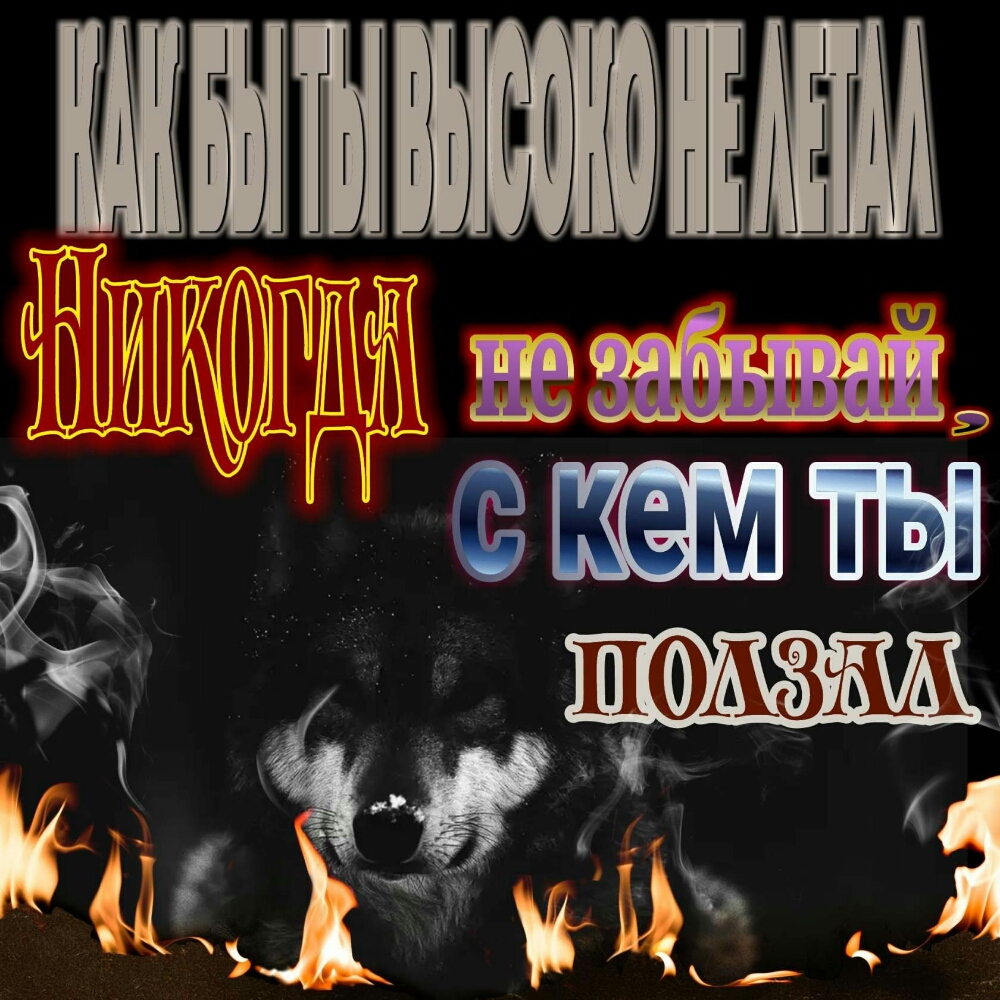 ПМ незабшаи Ё