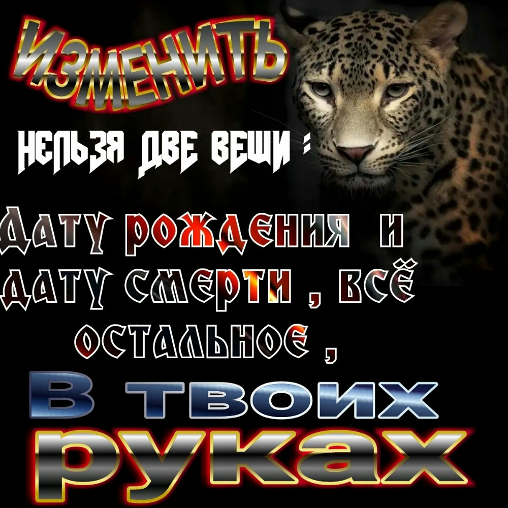 гроищёыпия Ш Ми В ПП З тва их