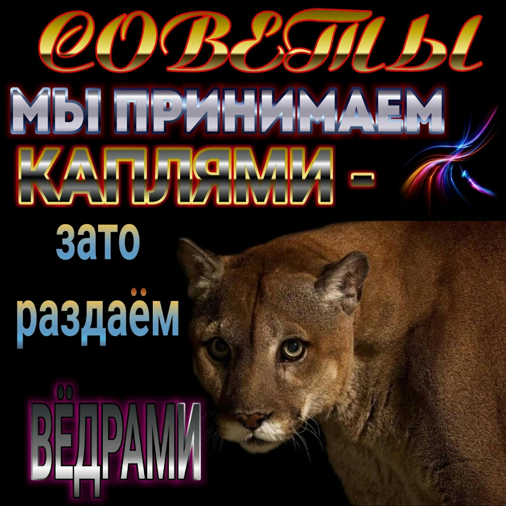 101002157 А 41_кЦ Айнади _ РаЗДаём Ыпдгдміі в _ __ 355325 _ _ м Кё Т ЁК ___