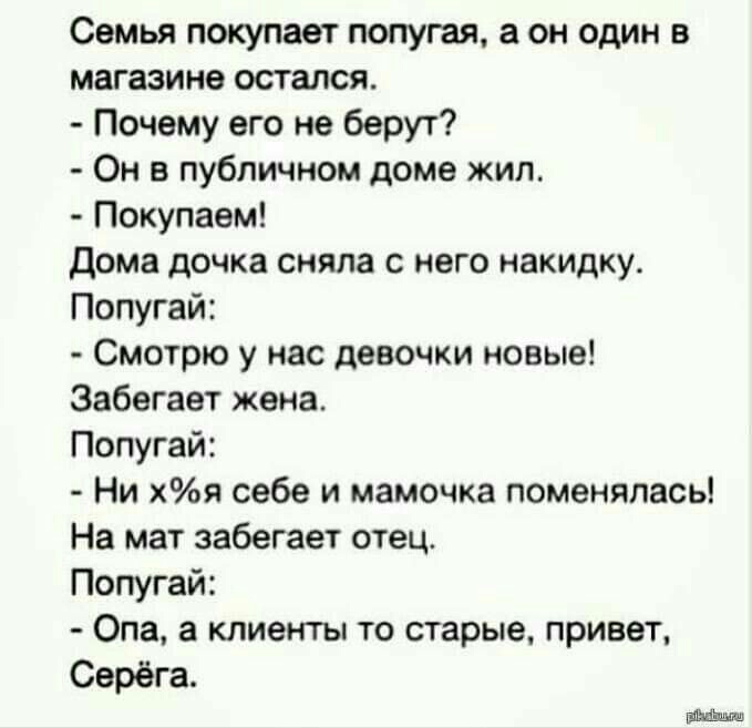 Семья покупает попугая а он один в магазине остался Почему его не берут Он в публичном доме жил Покупаем Дома дочка сняла с него накидку Попугай Смотрю у нас девочки новые Забегает жена Попугай Ни хя себе и мамочка поменялась На мат забегает отец Попугай Опа а клиенты то старые привет Серёга