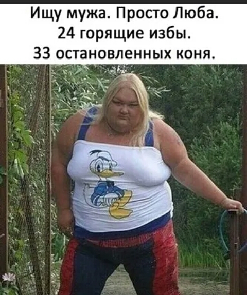 Ищу мужа Просто Люба 24 горящие избы 33 остановленных коня