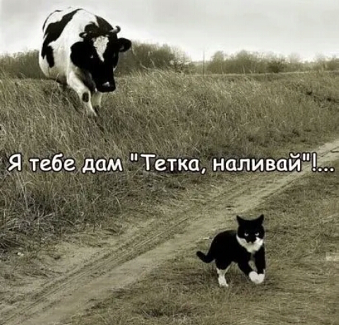 _
