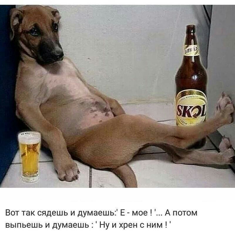 Вот так сядешь и думаешь Е мое А потом выпьешь и думаешь Ну и хрен с ним