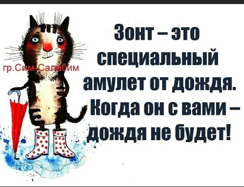 Зонт это и специальный амипет от дождя ноша он с вами