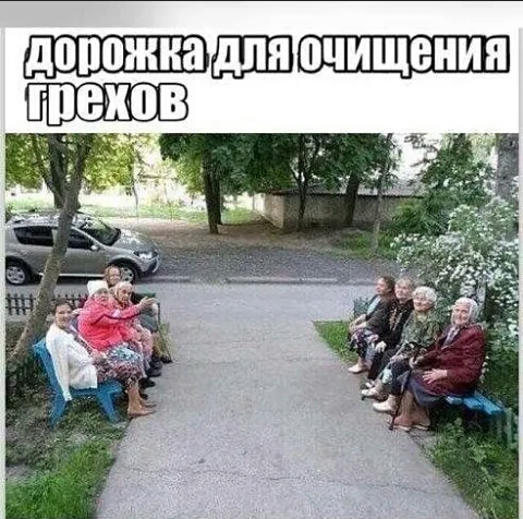 ПП ВНШ в