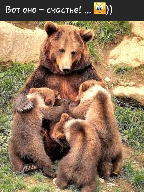 Вот оно счастье Е