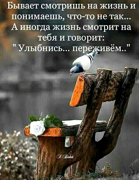 Ётвает смотришь на жизнь и онимаешь что то не так иногда жизнь смотрит на Тебя и говорит лыёнись п