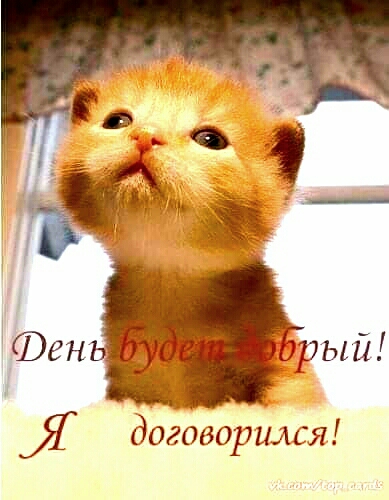 Фень рыи Я договорился