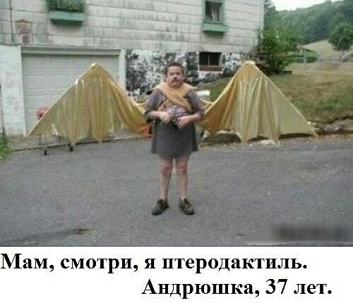 КИМ смотри я птеродаь Андрюшка