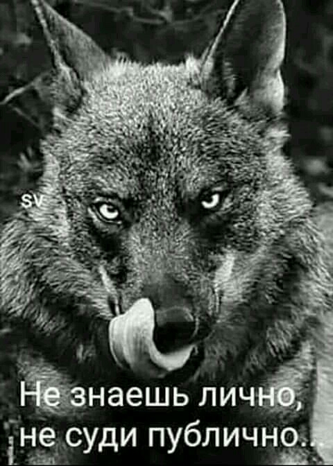 не буди публичной