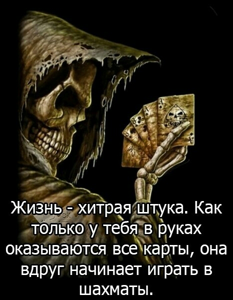 6А тел ько Хутея руках М оказы_ артся все карты она вдр г начинает Играть в ШЭХМЭТЫ