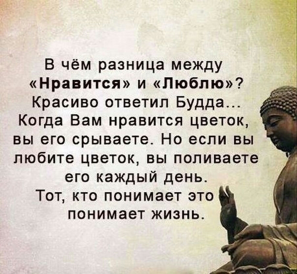 В чём разница между Нравится и Люблю Красиво ответил Будда Когда Вам нравится цветок вы его срываете Но если вы любите цветок вы поливаете его каждый день Тот кто понимает это понимает жизнь