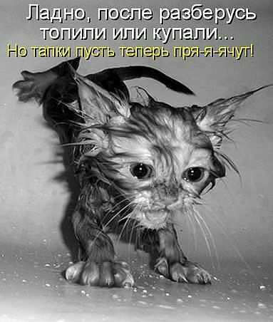 ТОПИПИ ИЛИ К ТТУ А Но тапки пусгь теперь пряпг
