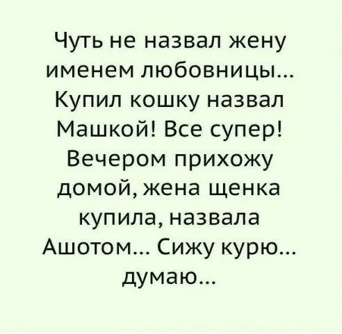 Чуть не назвал жену именем любовницы Купил кошку назвал Машкой Все супер Вечером прихожу домой жена щенка купила назвала Ашотом Сижу курю думаю
