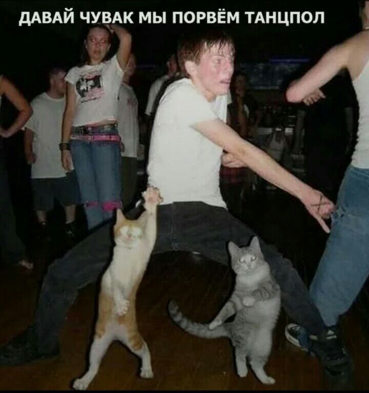 и дАВАЙ ЧУВАК мы порвём ТАНЦПОЛ гг