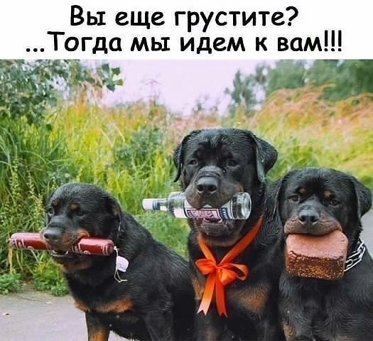 Вы еще грустите Т9гда мы идем к вам 53