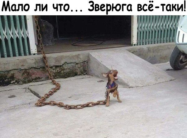 Мало ли что всё таки