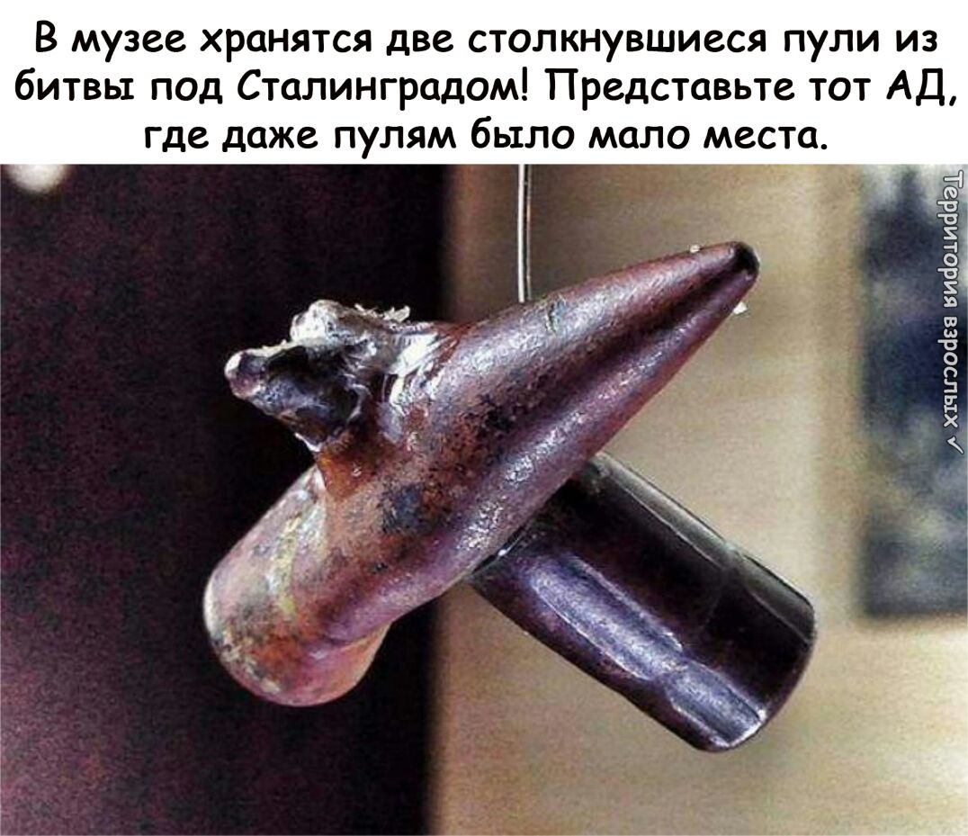 В музее хранятся две столкнувшиеся пули из битвы под Сталинградом Представьте тот АД где даже ПУЛЯМ было МОЛО МЗСТО Мэд ххчьгэосіва видом