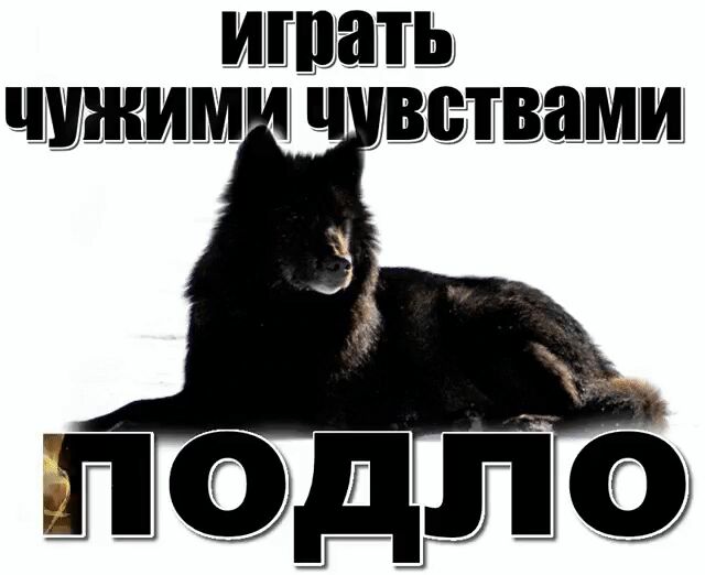 ШШЁШЬ ШШШШШШ 3 УВЕЁЕВЁШШШ