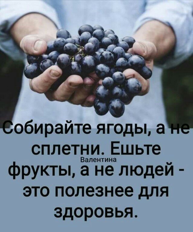обирайте ягоды а сплетыддинёшьте фрукты а не людей это полезнее для здоровья