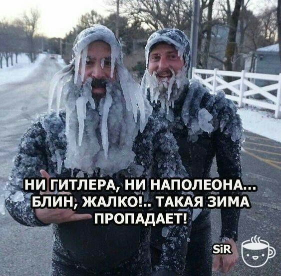 РА нуп НАПОЛЕЬНАЁ Бдшун ждлкоь ТА ЗИМА ПРОПАДАЕТ г