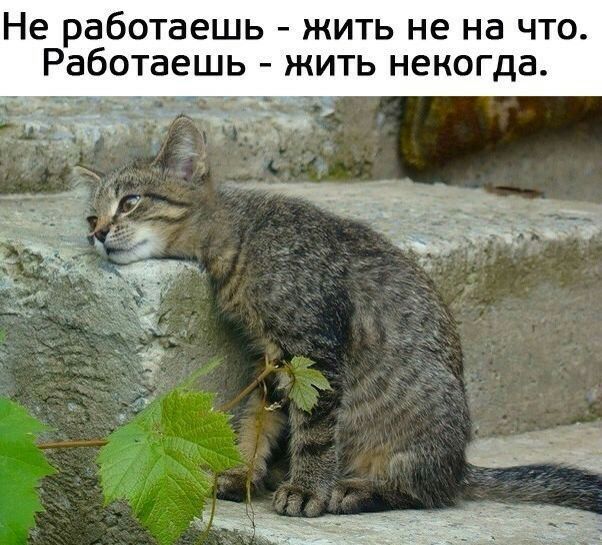 Не работаешь жить не на что Работаешь ЖИТЬ НЕКОГДЗ