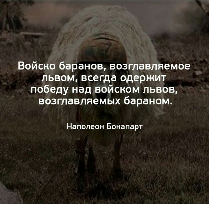 Войско баранов возглавляемое львом всегда одержит победу над войском львов возглавляемых бараном Наполеон Бонапарт