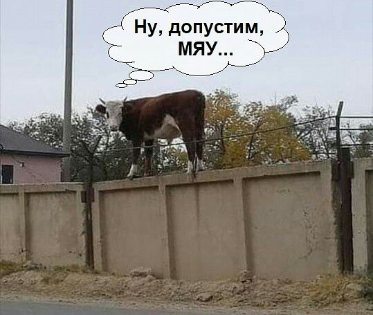 4 Ну допустим