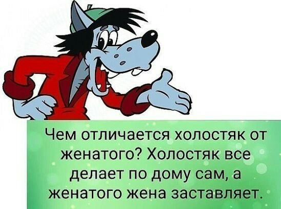 Чем отличается холостяк от женатого Холостяк все __