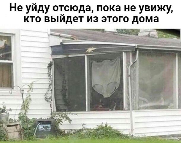 Не уйду отсюда пока не увижу кто вый ет из этого дома