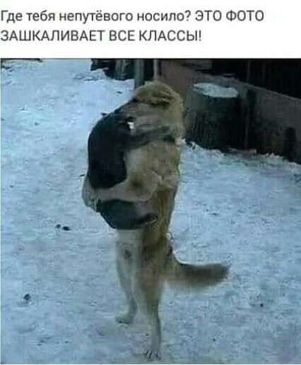 Где тебя непутёвого носило ЭТО ФОТО ЗАШКАПИБАЕТ ВСЕ КЛАССЫ