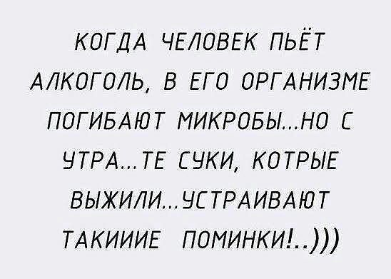 КОГДА ЧЕЛОВЕК ПЬЁТ Алкоголь в ЕГО ОРГАНИЗМЕ ПОГИБАЮТ МИКРОБЫН0 ЬТРАТЕ суки котрые выжили ус ТРА ИВАЮ Т ТАКИИИЕ поминки1