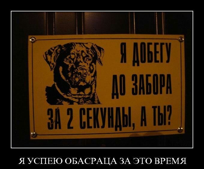 Я УСПЕЮ ОБАСРАЦА ЗА ЭТО ВРЕМЯ